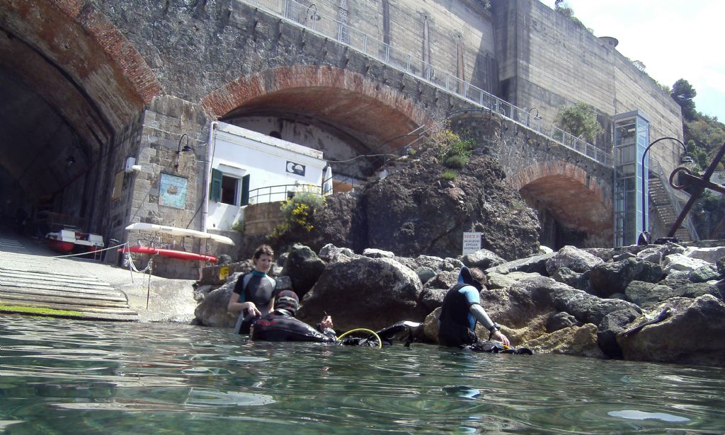 Proviamoci con gli Ostracodi marini